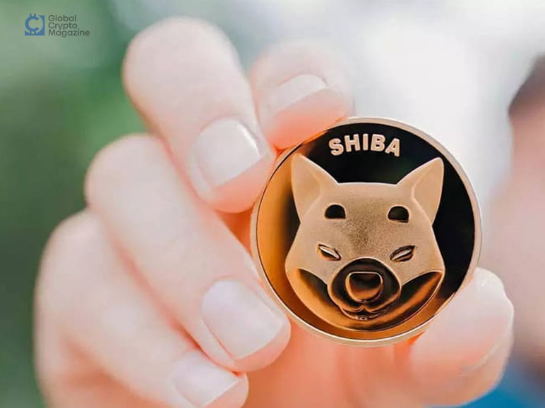 Shiba Inu