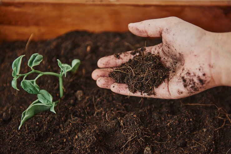 Soil Health